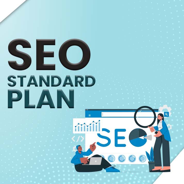 SEO Standard Plan