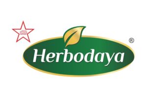 WhatsApp Image 2025-08-06 at 15.42.14_5004da7c